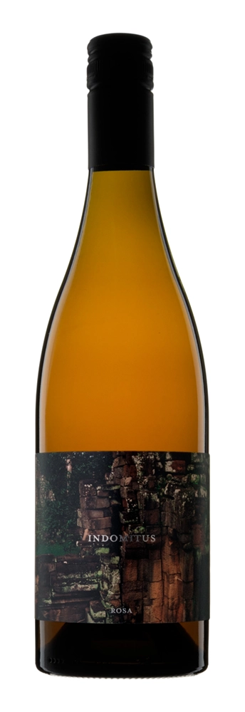 Indomitis Rosa